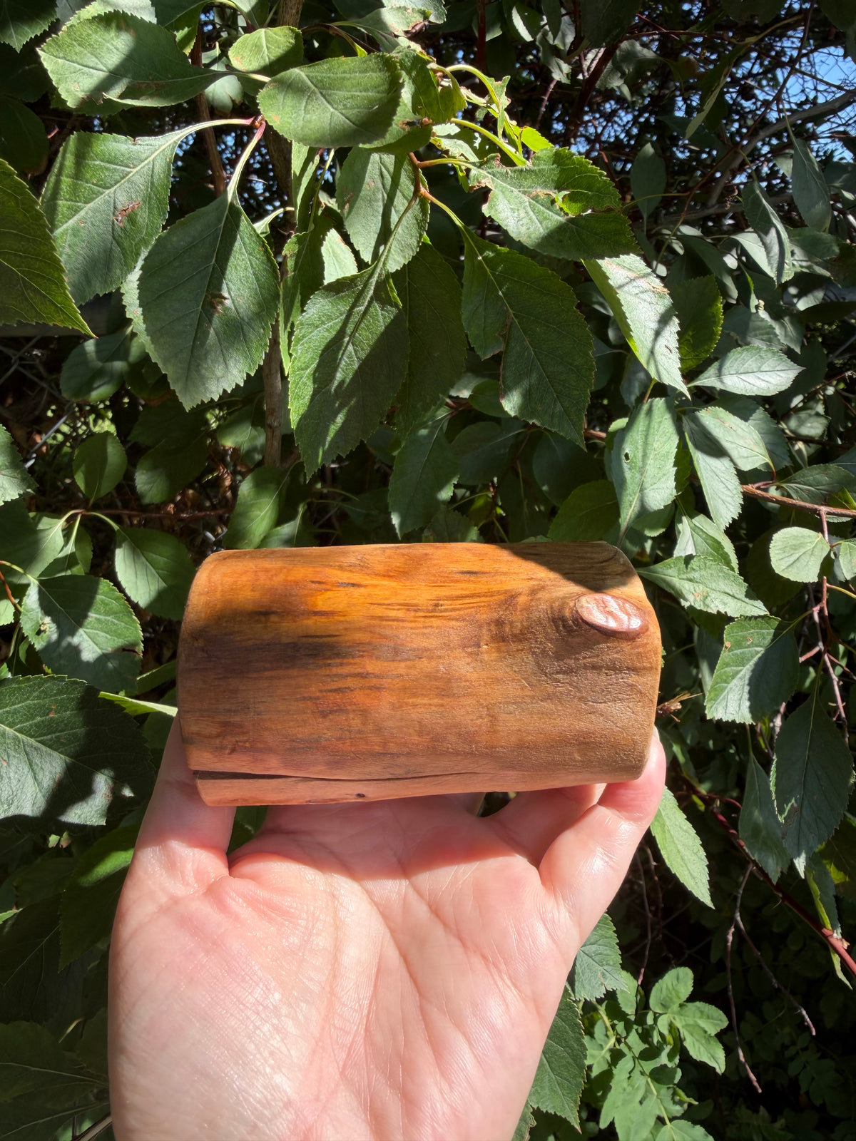 Ring Box