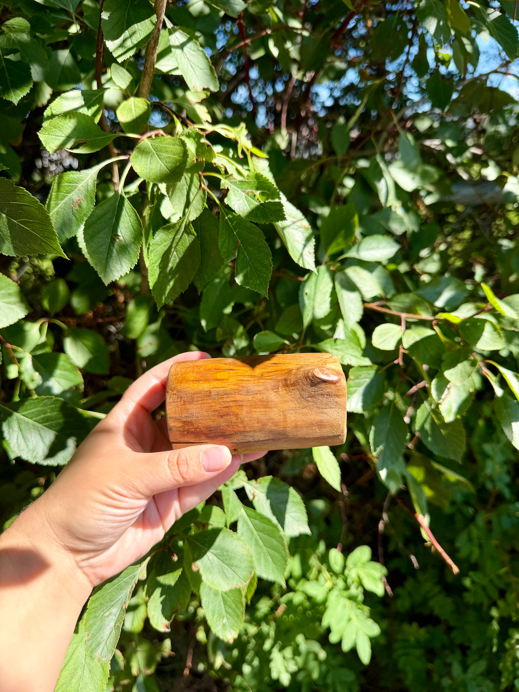 Ring Box