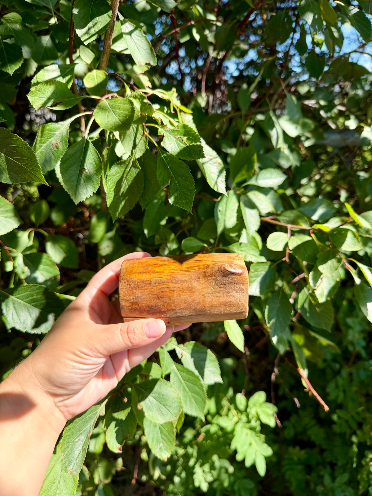 Ring Box