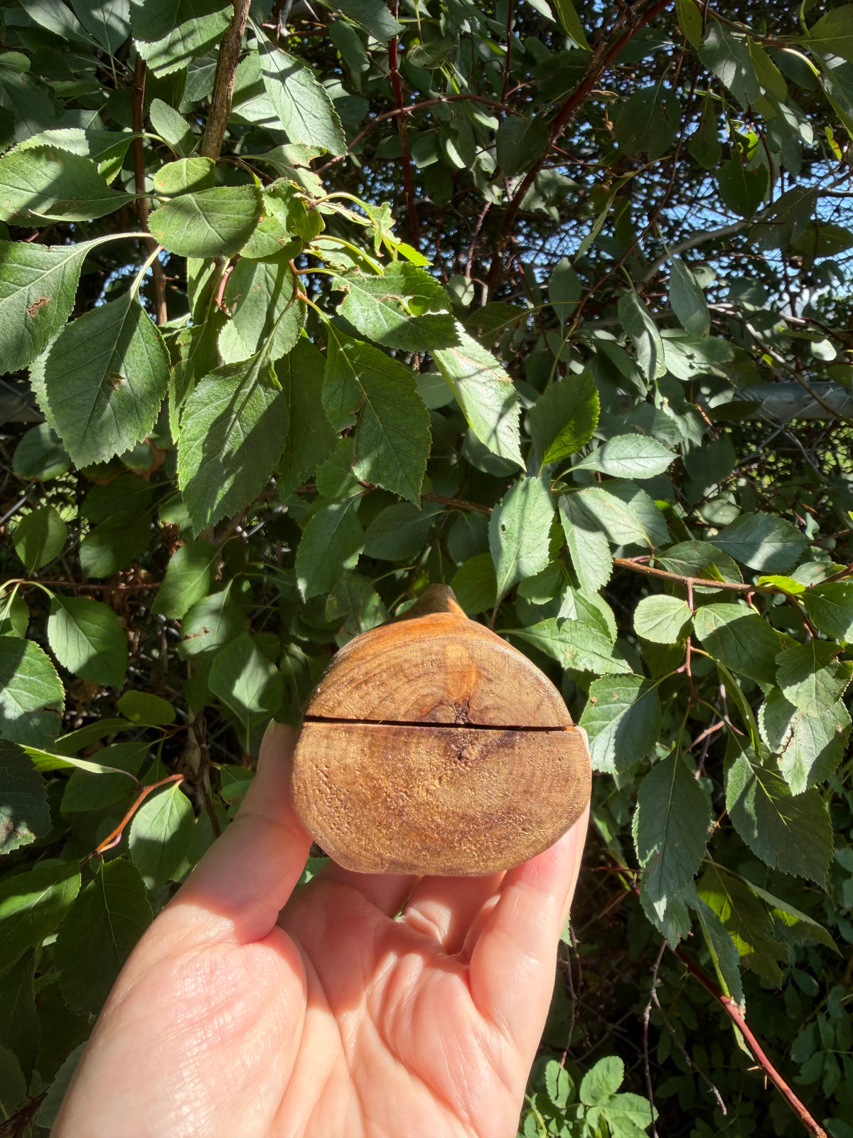 Ring Box